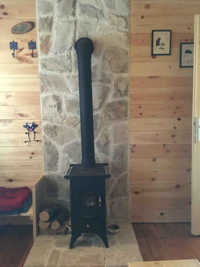 Cozy Cabin Žabljak Zewnętrze zdjęcie