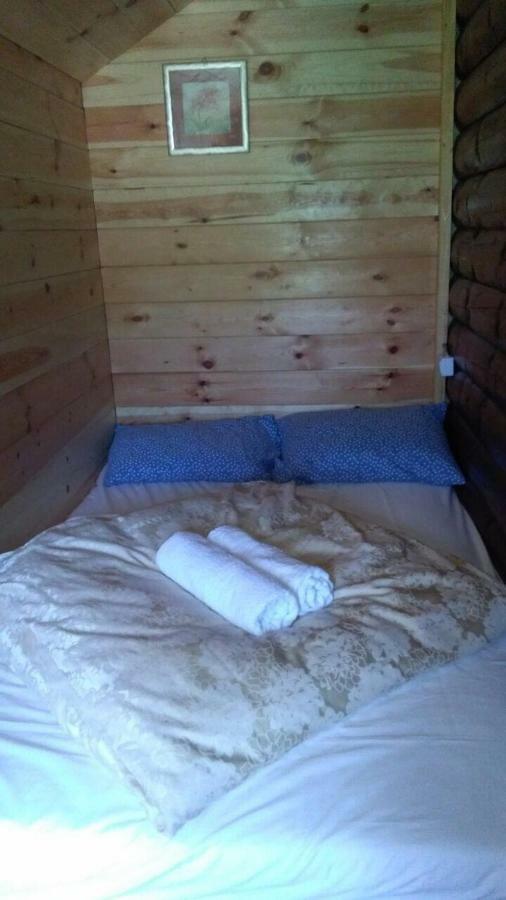 Cozy Cabin Žabljak Zewnętrze zdjęcie
