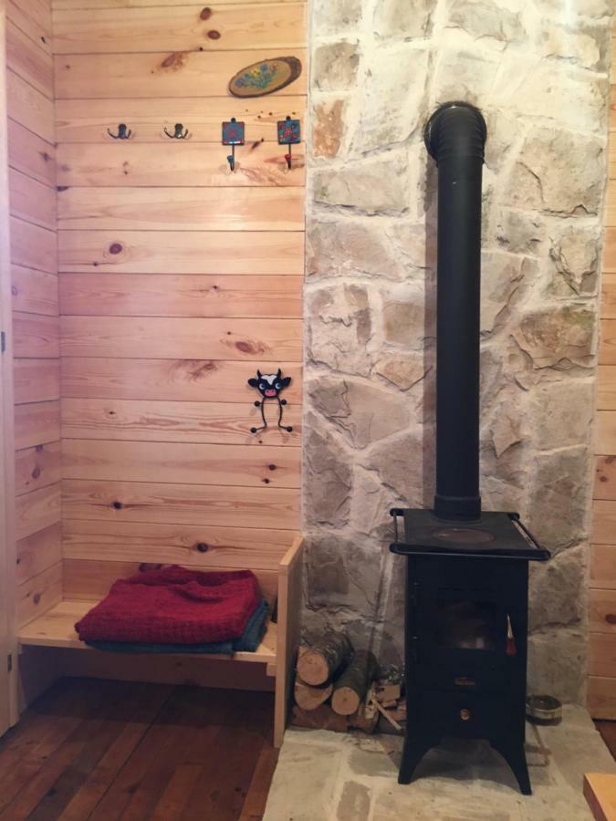 Cozy Cabin Žabljak Zewnętrze zdjęcie
